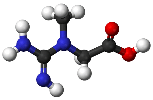 Opgelost in water werkt creatine een beetje beter dan als poeder