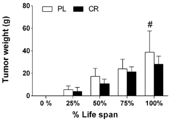 Stimuleert creatine kankercellen? Volgens deze studie niet