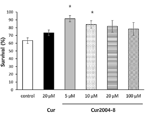 Cur2004-8 is effectiever dan curcumine, zegt dierstudie
