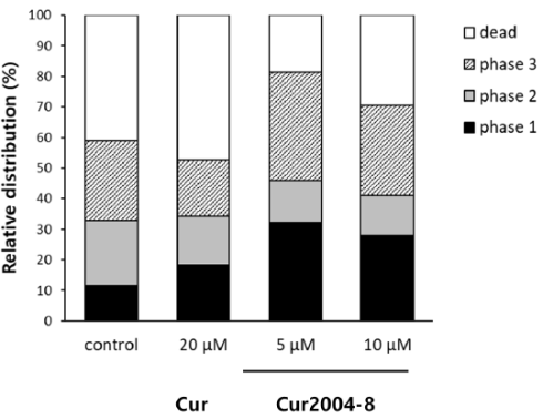 Cur2004-8 is effectiever dan curcumine, zegt dierstudie
