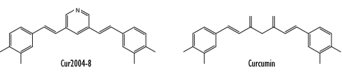 Cur2004-8 is effectiever dan curcumine, zegt dierstudie