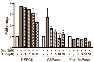 Kurkuma remt omzetting van aminozuren in glucose