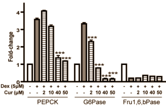Kurkuma remt omzetting van aminozuren in glucose