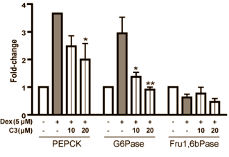 Kurkuma remt omzetting van aminozuren in glucose