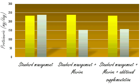 Alweer: supplement met curcumine vergroot spierkracht en conditie van 65-plussers