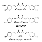 Meer spieren op hoge leeftijd dankzij curcumine
