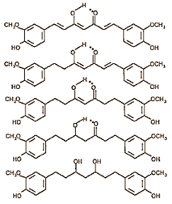 Kurkuma remt omzetting van aminozuren in glucose