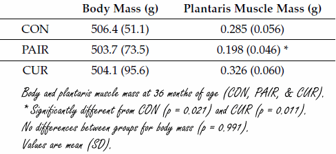 Meer spieren op hoge leeftijd dankzij curcumine