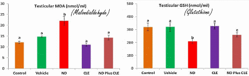 Artisjok beschermt hormoonhuishouding misschien tegen anabolen