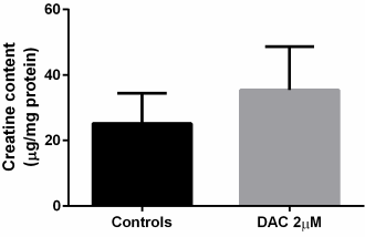 Di-acetylcreatine-ethyl-ester is minstens 1000 keer effectiever dan gewone creatine