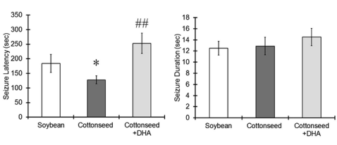 Zo beschermen omega-3-vetzuren de hersenen