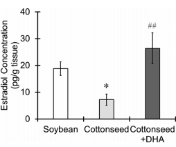 Zo beschermen omega-3-vetzuren de hersenen