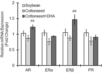 Zo beschermen omega-3-vetzuren de hersenen