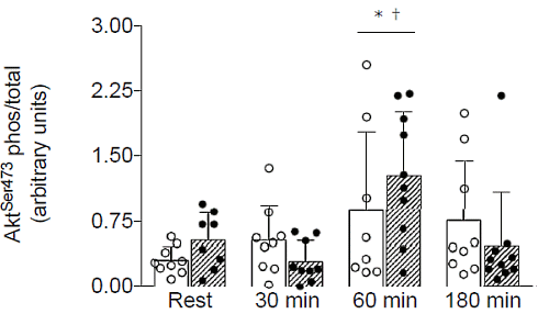 Anabole werking dileucine groter dan die van leucine