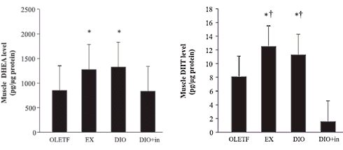 Diosgenine, het anabool in yams, is een DHT-booster