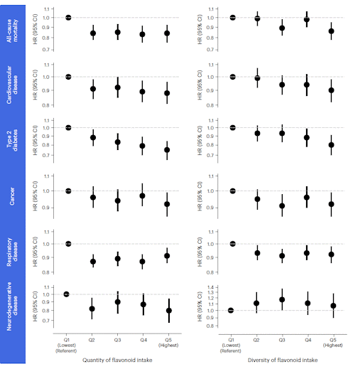 Diversiteit aan flavonoiden in voeding houdt je gezond