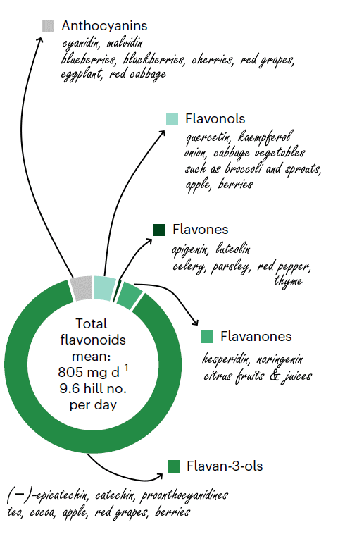 Diversiteit aan flavonoiden in voeding houdt je gezond