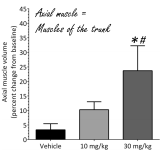 Humane trial myostatinremmer domagrozumab gestart