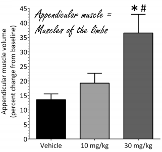 Humane trial myostatinremmer domagrozumab gestart