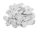 Astragulus voor meer Leydigcellen (en dus ook meer testosteron)