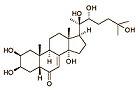 Bio103 heeft meer anabole werking dan ecdysteron