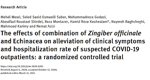 Co-suppletie met gember + echinacea versterkt reguliere behandeling tegen Covid-19