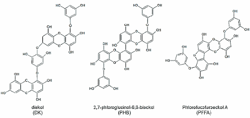 De onderschatte ergogene potentie van Ecklonia cava