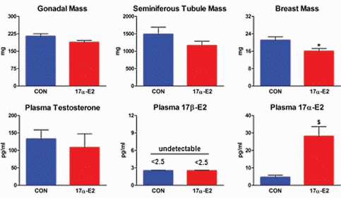 Antioestrogene metaboliet van estradiol houdt overgewicht en diabetes op afstand