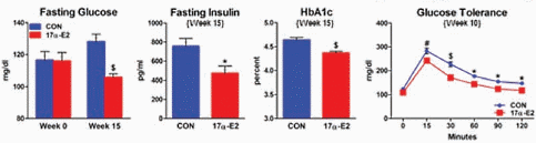 Antioestrogene metaboliet van estradiol houdt overgewicht en diabetes op afstand