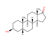 Epi-etiocholanolone