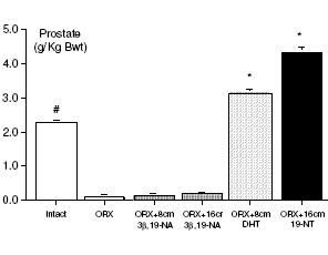 Precursor in bodybuildingsupplement is een SARM, zegt dierstudie