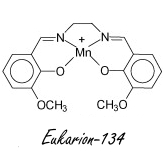 Superantioxidant Eukarion-134 stopt spierafbraak