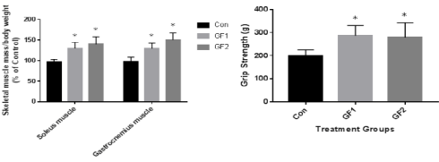 Groenten, fruit en spieren