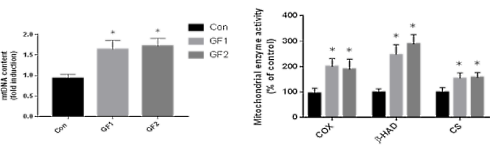Groenten, fruit en spieren