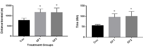 Groenten, fruit en spieren