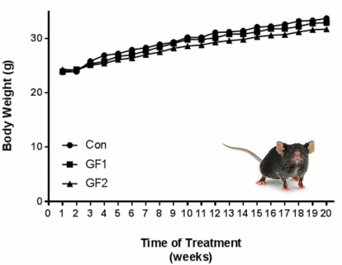 Groenten, fruit en spieren