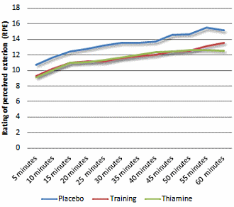 Fursultiamine maakt lichamelijke inspanning minder vermoeiend