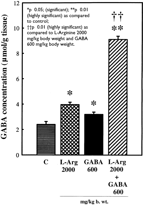 Hoe arginine de werking van GABA versterkt