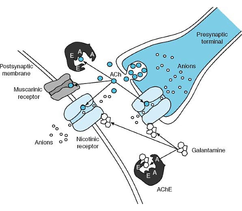 Galantamine voor lucide dromen