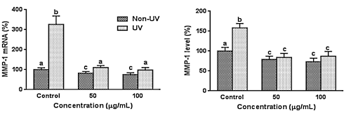 Knoflook, een beautyceutical met een luchtje