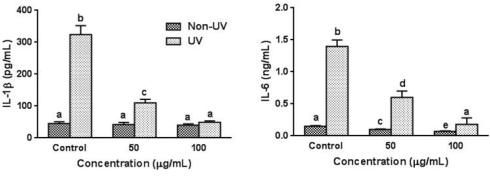 Knoflook, een beautyceutical met een luchtje