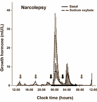 Dagelijks gebruik GHB verhoogt afgifte groeihormoon niet