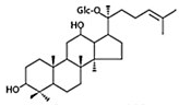 Het gemodificeerde ginsengsupplement GINST15, Compound K en spieren