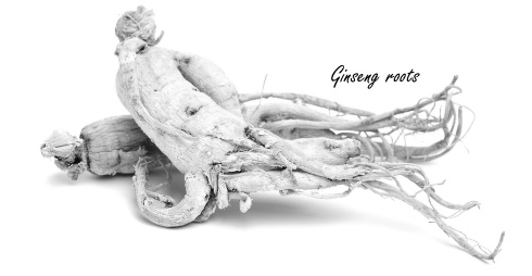 Ginsenoside Rg1, een anabool uit ginseng