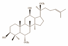 Meer mitochondria in je cellen door drie gram ginseng per dag