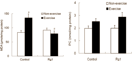 Ginsenoside-Rg1 in Panax ginseng beschermt spieren van sporters