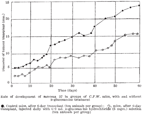 Glucosamine remt kanker, zegt dierstudie uit 1953