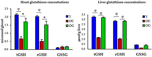 Dierstudie | Combinatie van glycine en NAC verlengt maximale levensduur met 40 procent