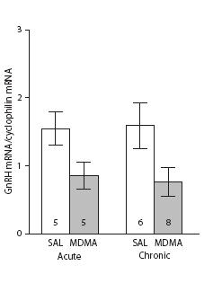 XTC slikken gaat ten koste van je testosteron