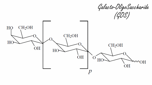 Schepje galacto-oligosaccharides maakt van eiwitshake een betere spieropbouwer